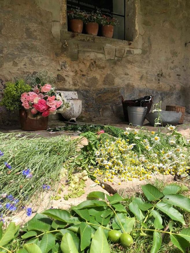 Ubytovani Napoli Stara Cervena Voda Kültér fotó